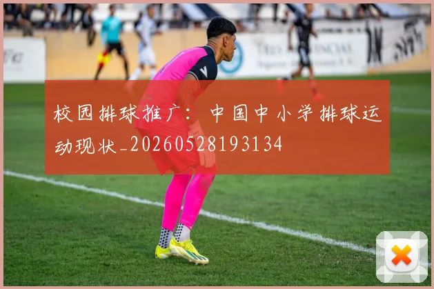 校园排球推广:中国中小学排球运动现状_20260528193134